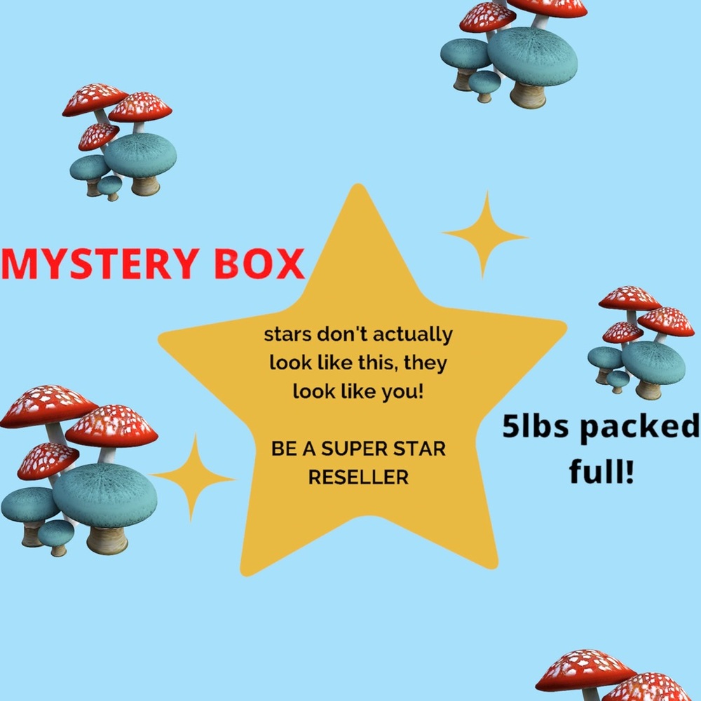 WHOLESALER MYSTERY BOX 5lbs packed full for you! Women’s clothing & shoes LARGE